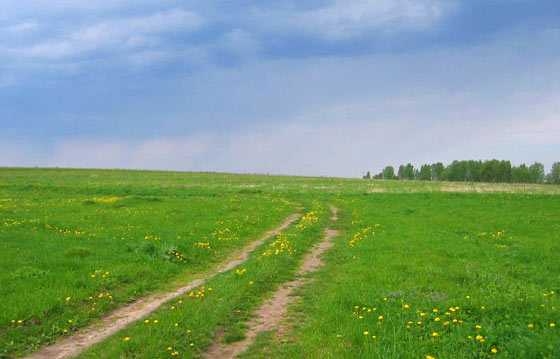 Fertile Agricultural Land Rembau